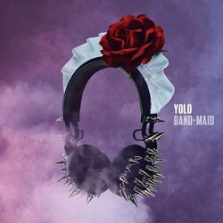 Cover of YOLO