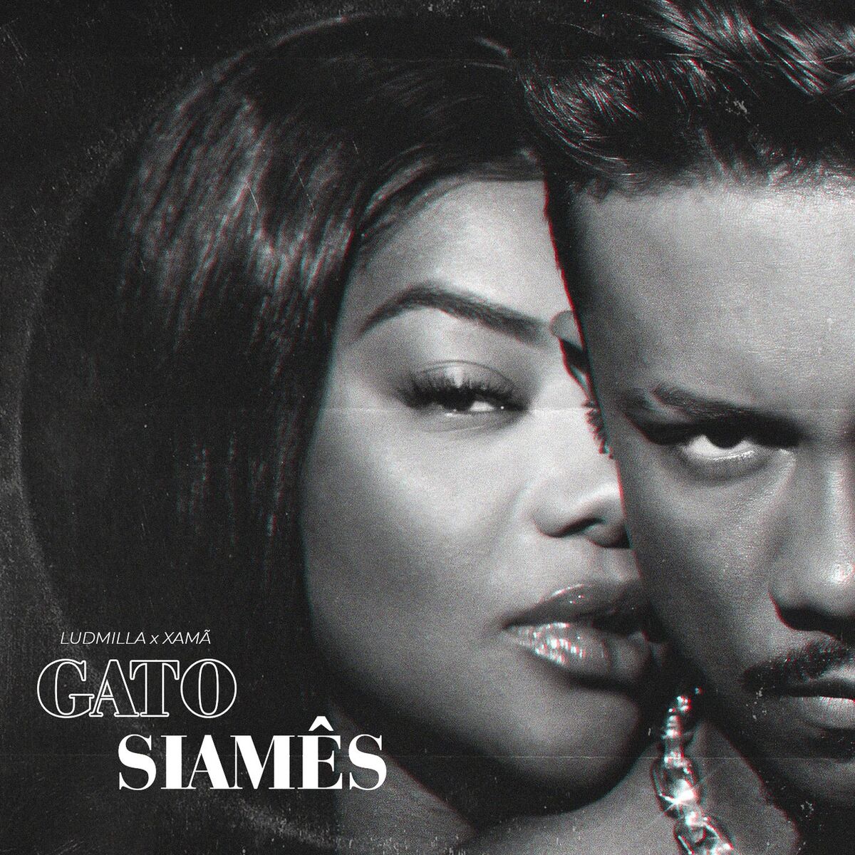Album picture of Gato Siamês