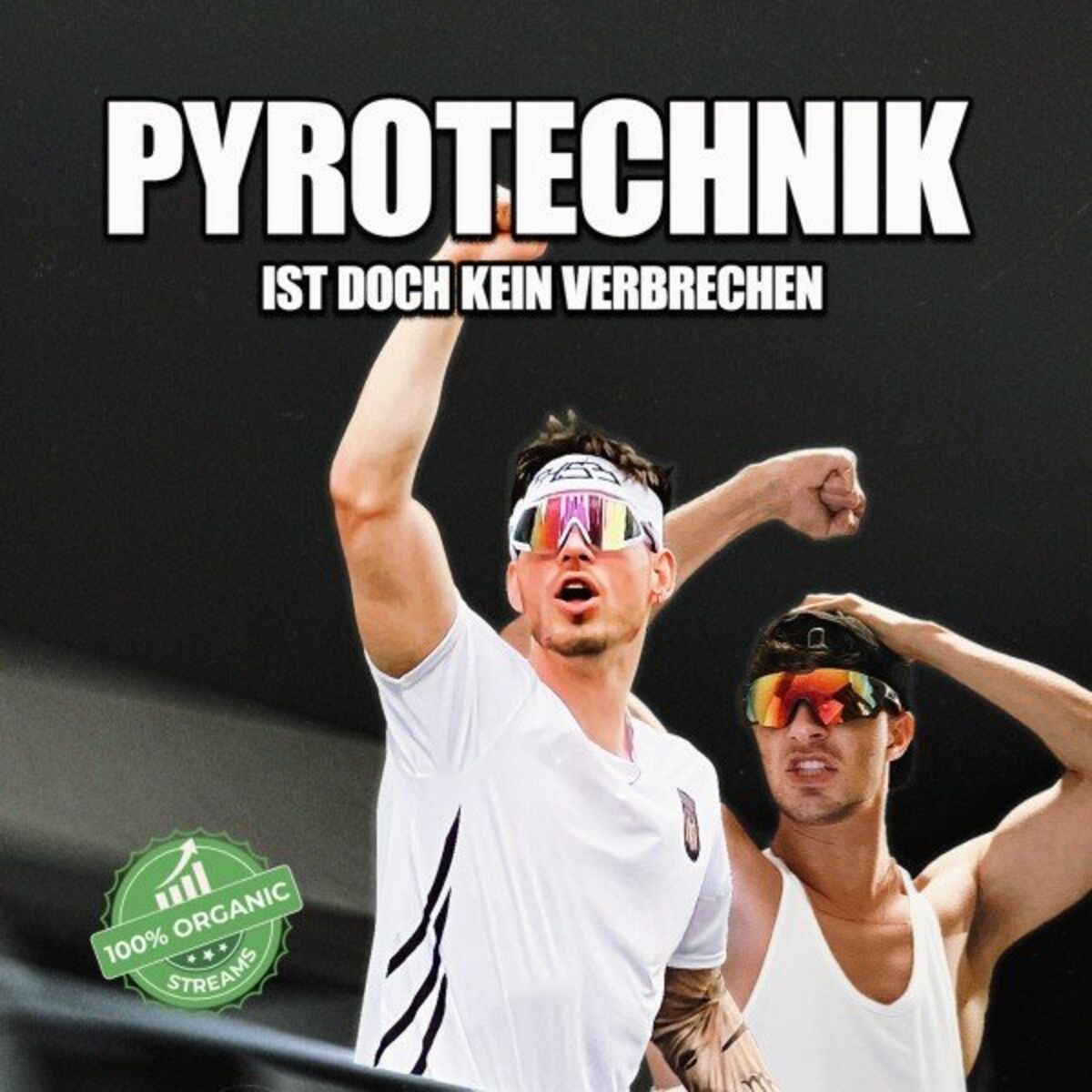 Album cover of Pyrotechnik Ist Doch Kein Verbrechen