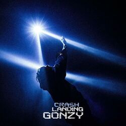 Cover of CRASH LANDING