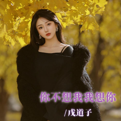 你不想我我想你