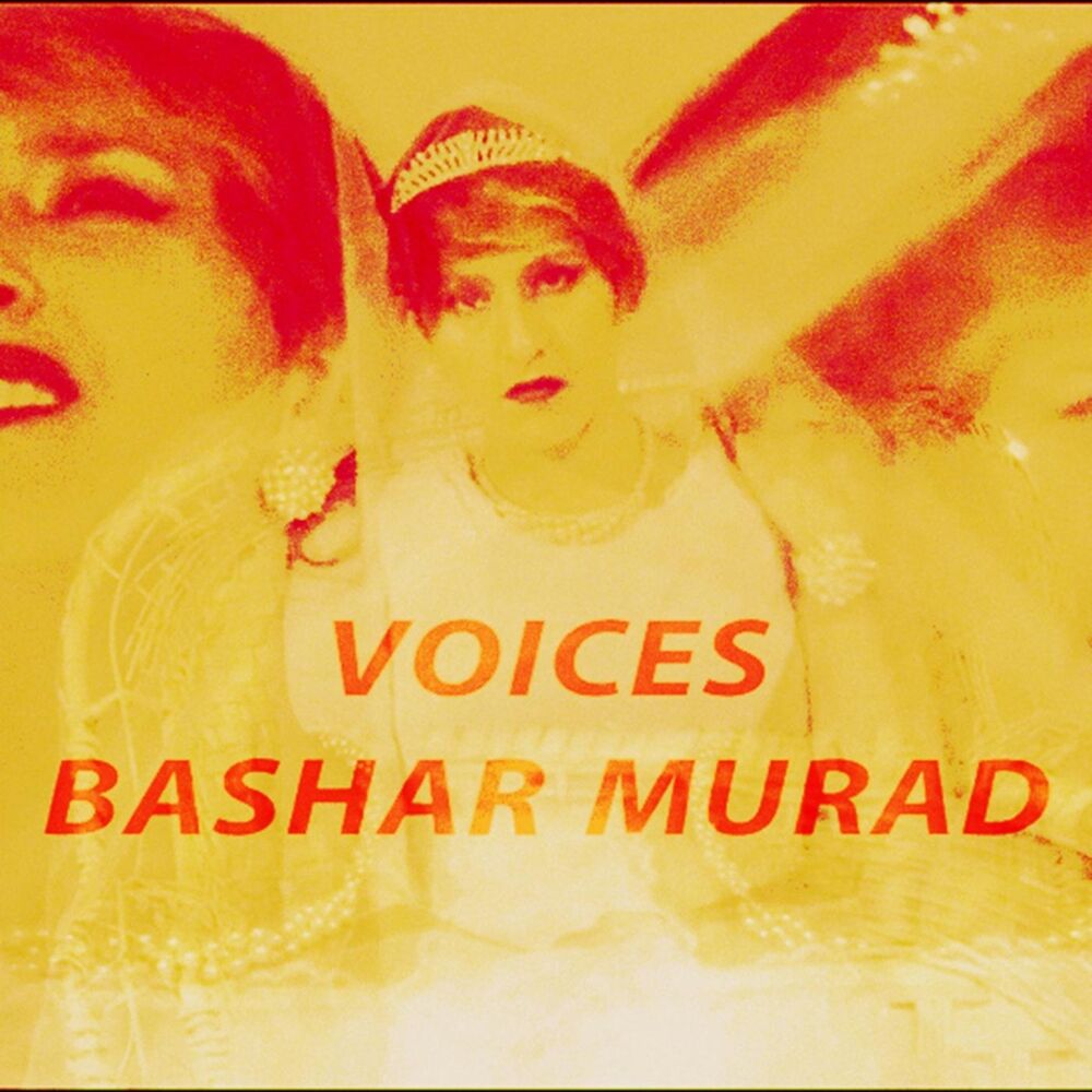 Picture of Voices
