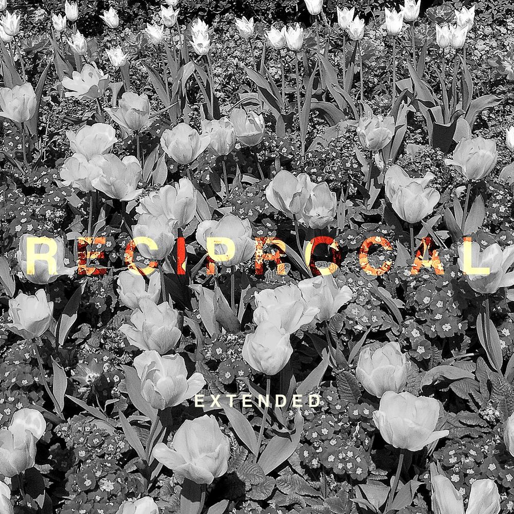Picture of Reciprocal (Extended)