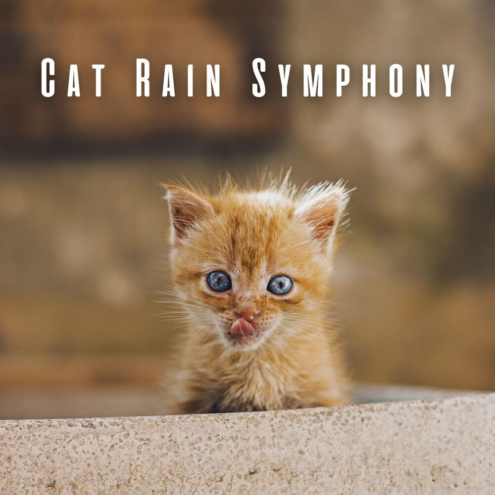 Picture of Cat Rain Symphony: Binaural Sounds with Theta Waves