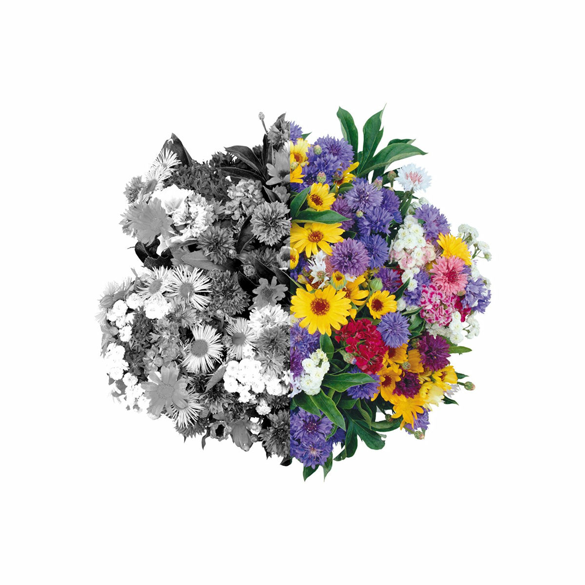 Album cover of Getäuscht