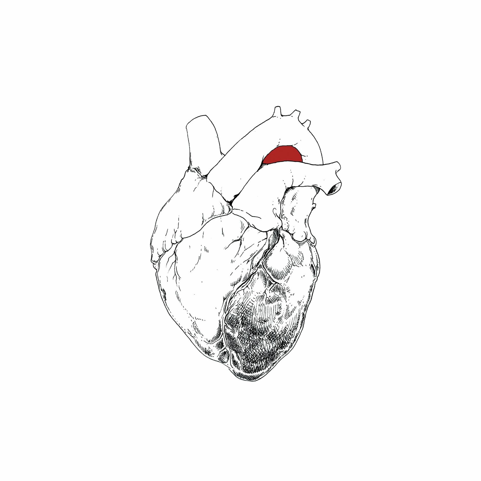Album cover of The Beggar