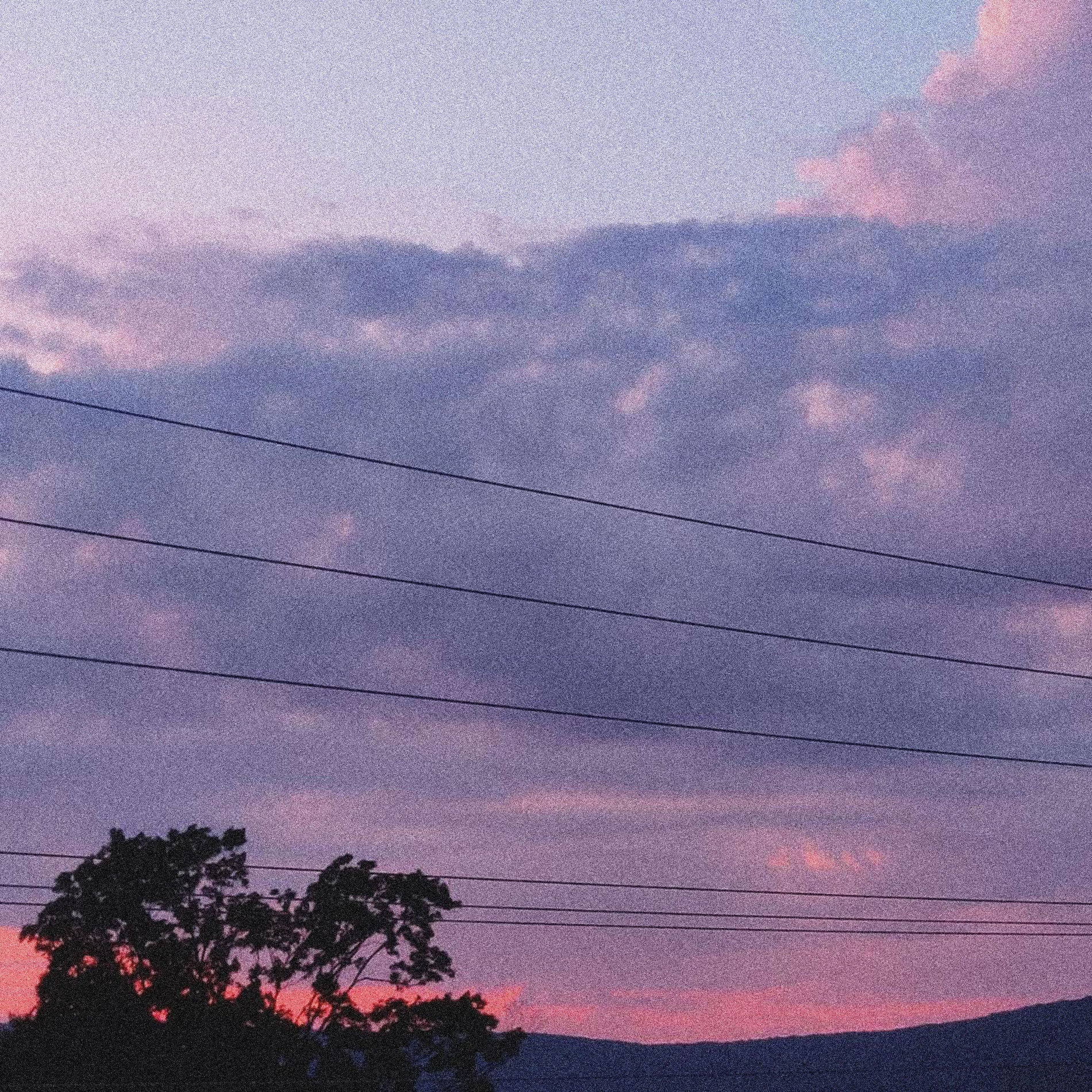 Album cover of hanging from the trees (feat. sadgods & fawlin)