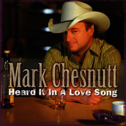 Cover of Heard It In a Love Song