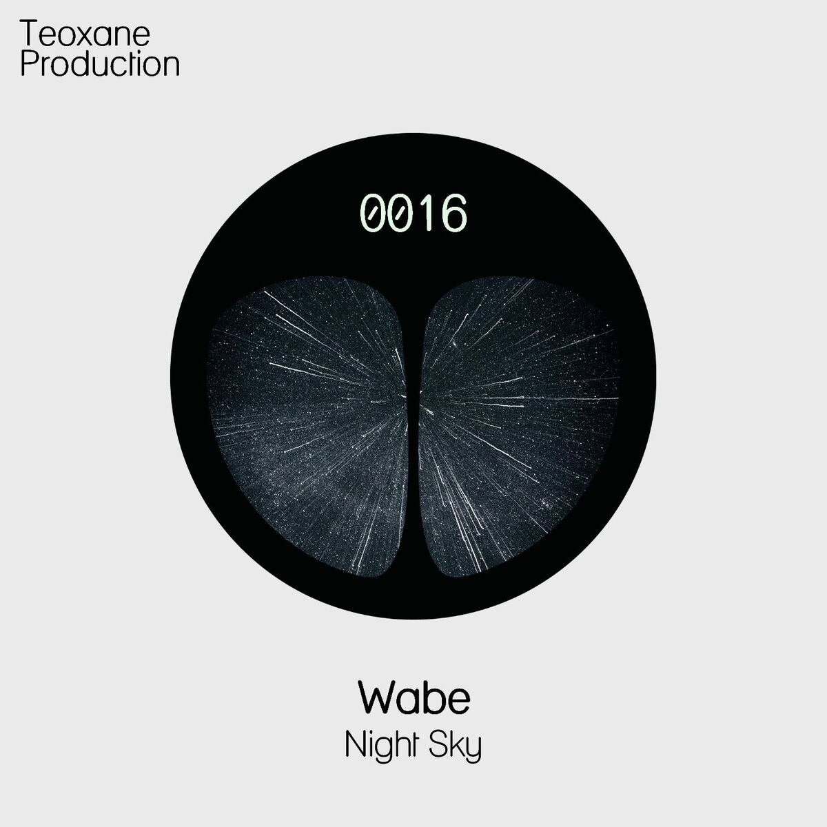 Album cover of Night Sky