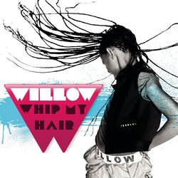 Cover of Whip My Hair