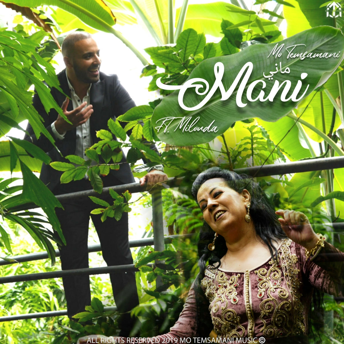 Album cover of Mani