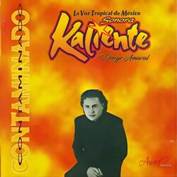 Cover of Contaminado
