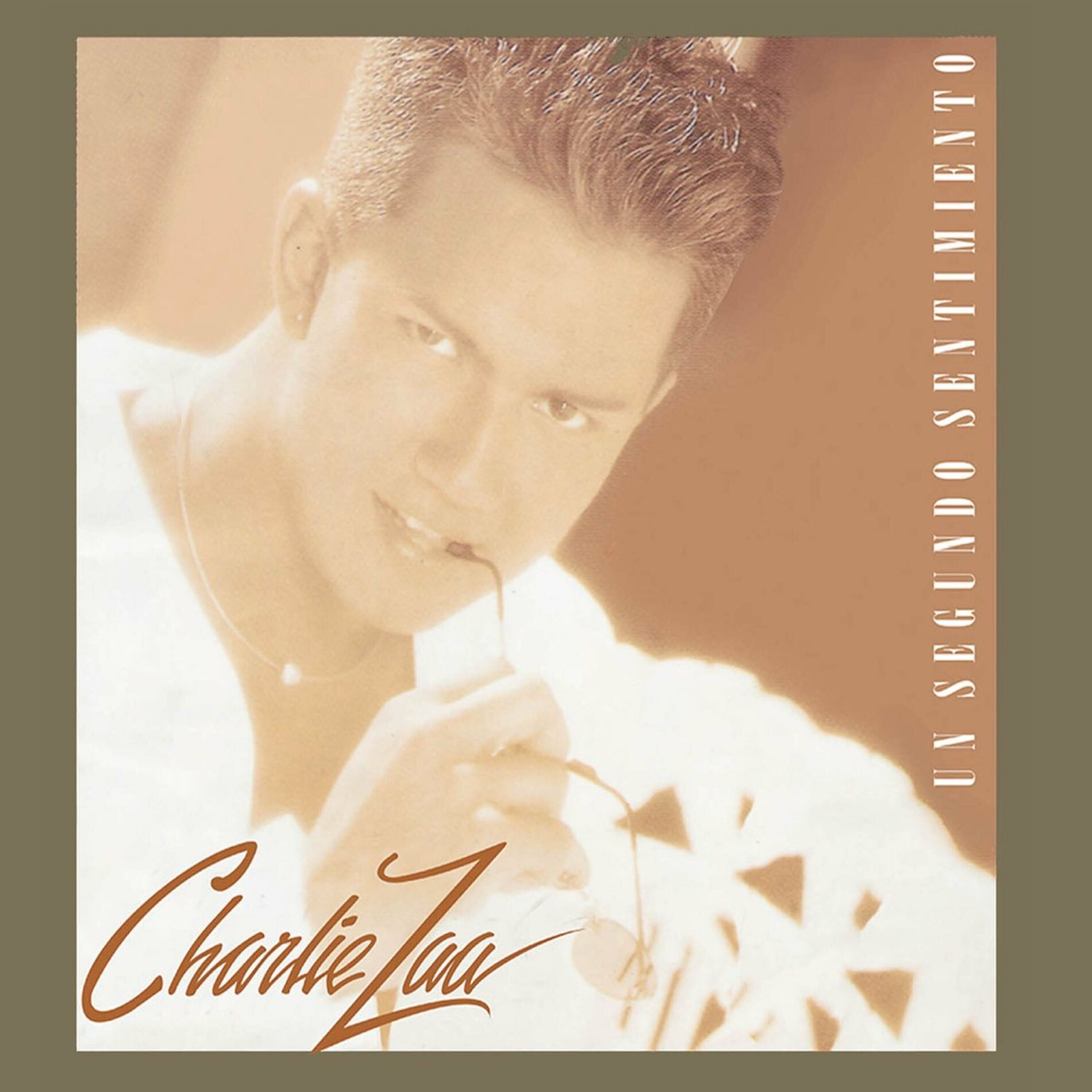 Album cover of Un Segundo Sentimiento