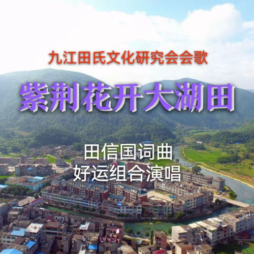 紫荆花开大湖田