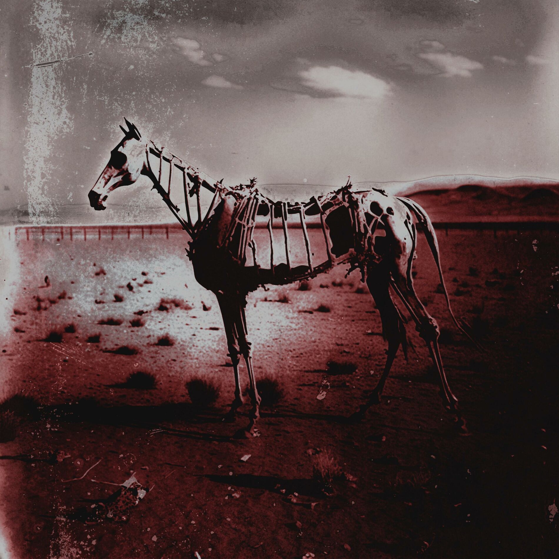 Album cover of Goodbye Horses