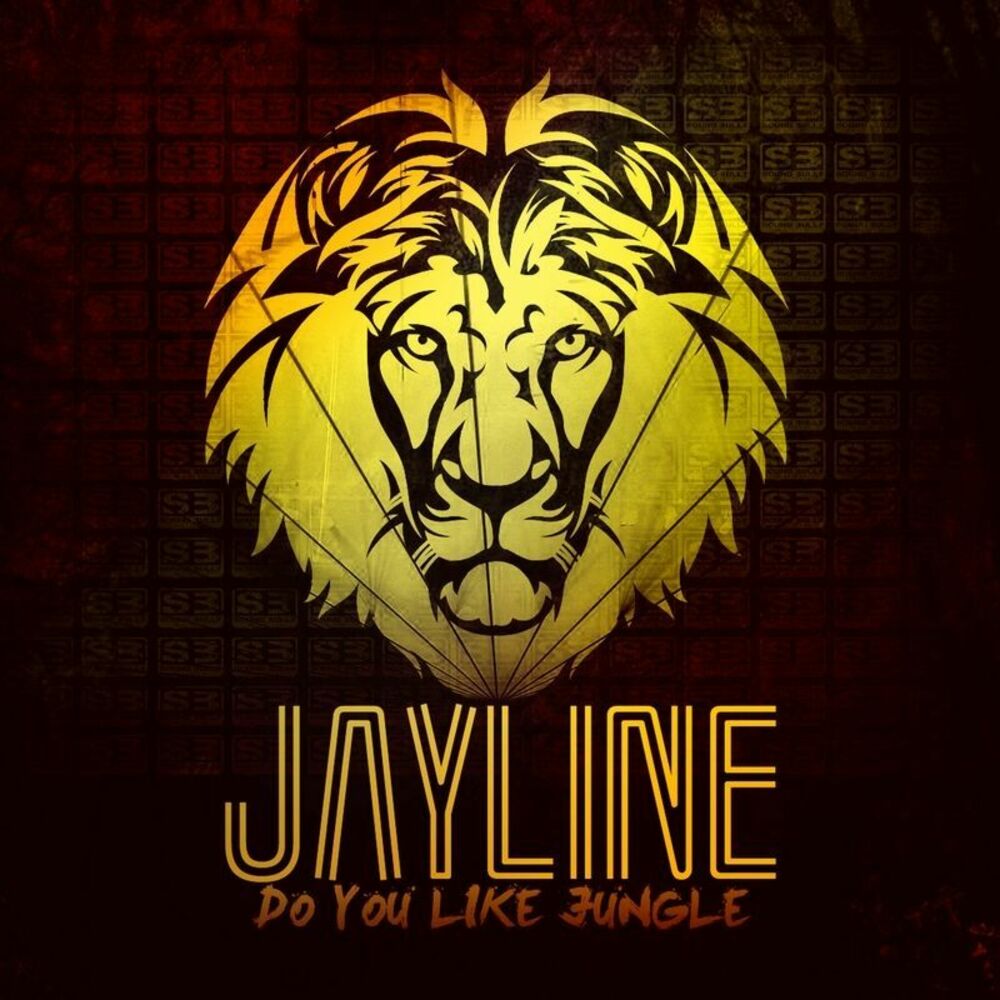 Picture of Do You Like Jungle LP