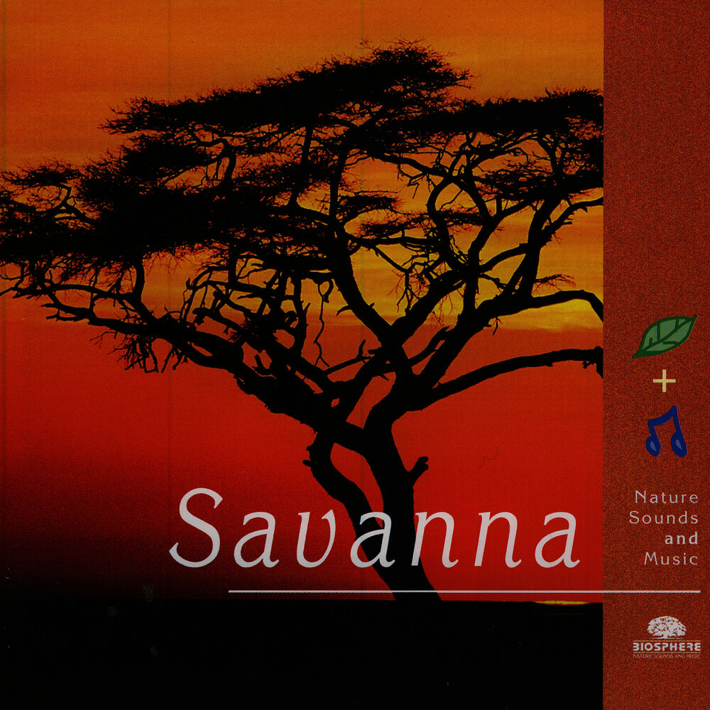 Picture of Savanna