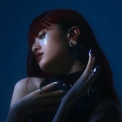 Cover of Nobody