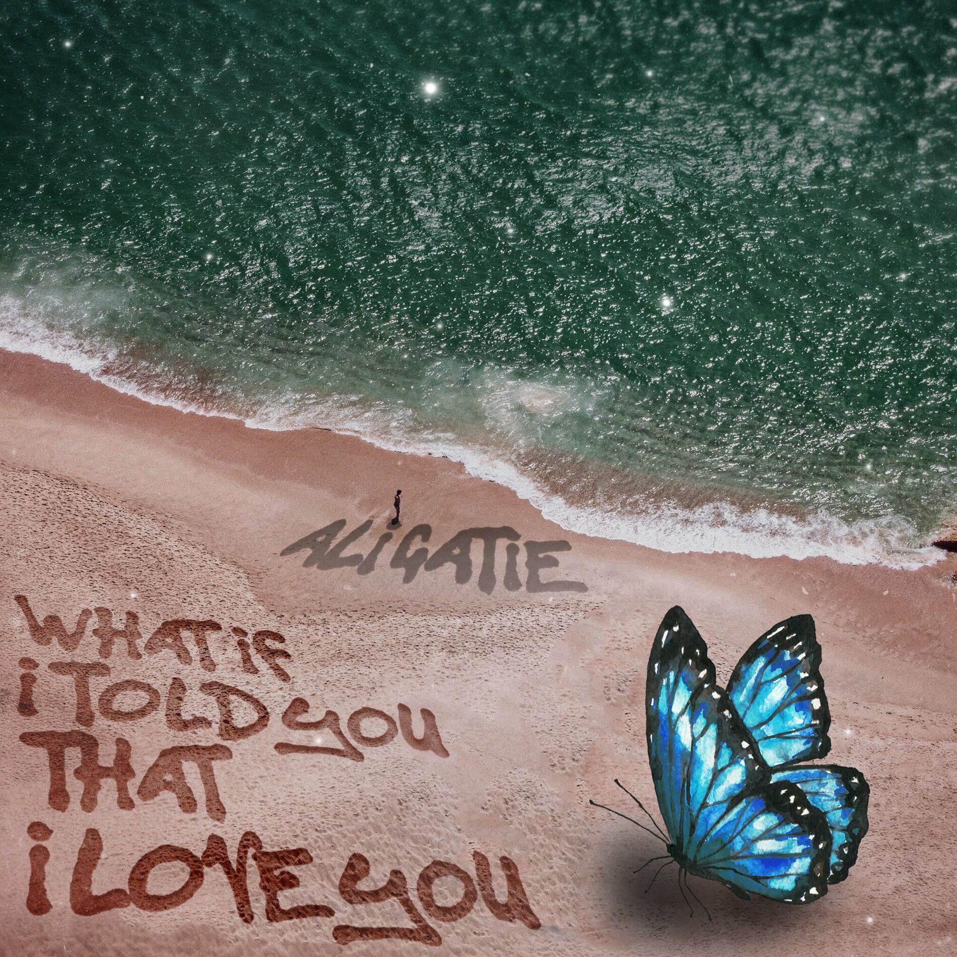 Album cover of What If I Told You That I Love You