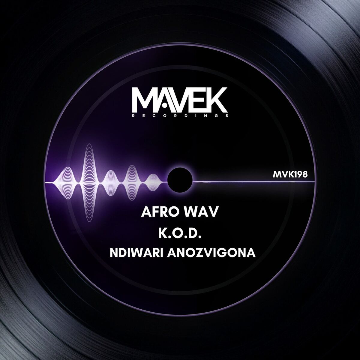 Album cover of Ndiwari Anozvigona