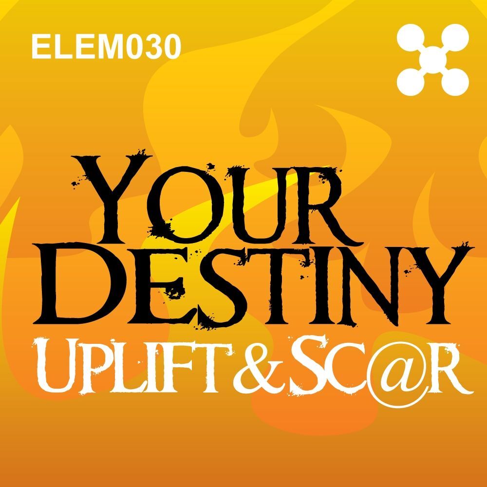 Picture of Your Destiny