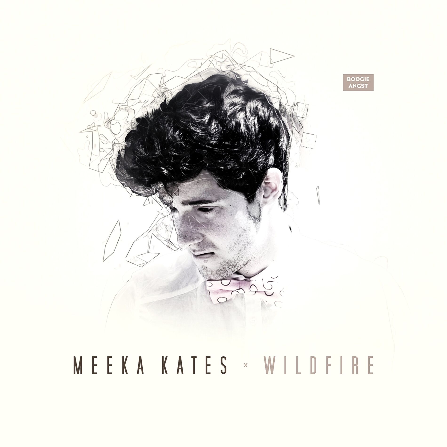 Album cover of Wildfire