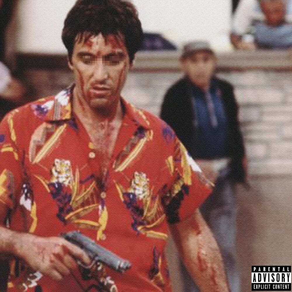 Picture of Pacino Freestyle