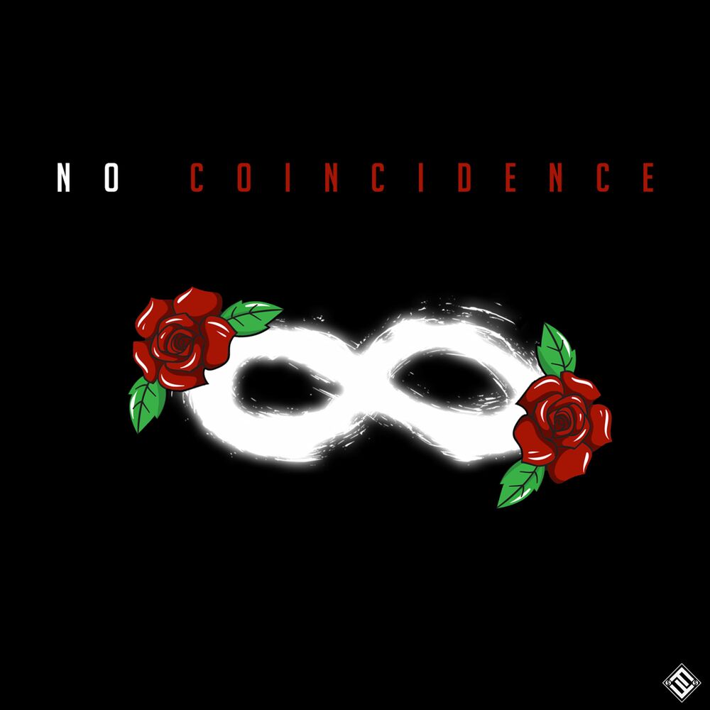 Picture of No Coincidence