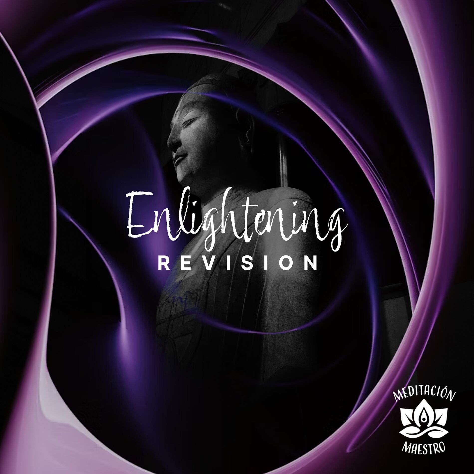 Album cover of Enlightening Revision