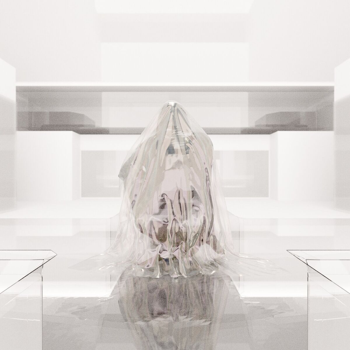 Album cover of Polymer Veil