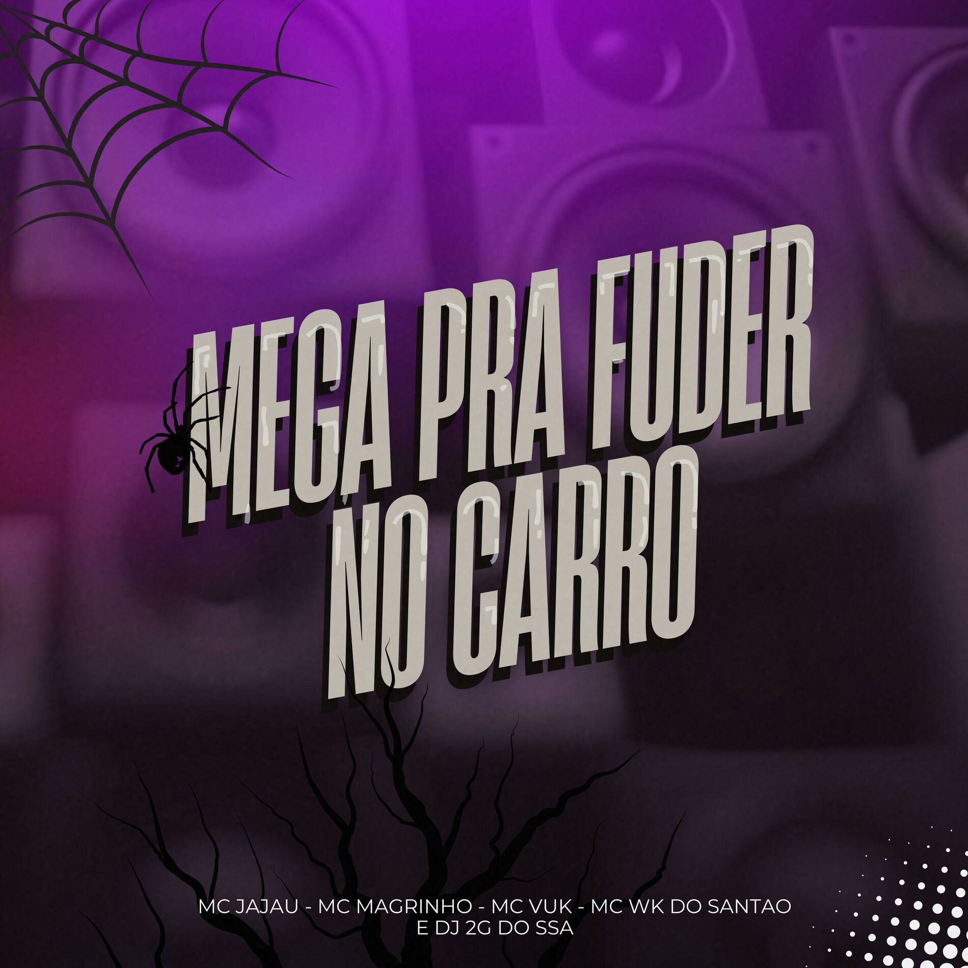 Album cover of MEGA PRA FUDER NO CARRO (feat. MC JAJAU & MC WK DO SANTAO)