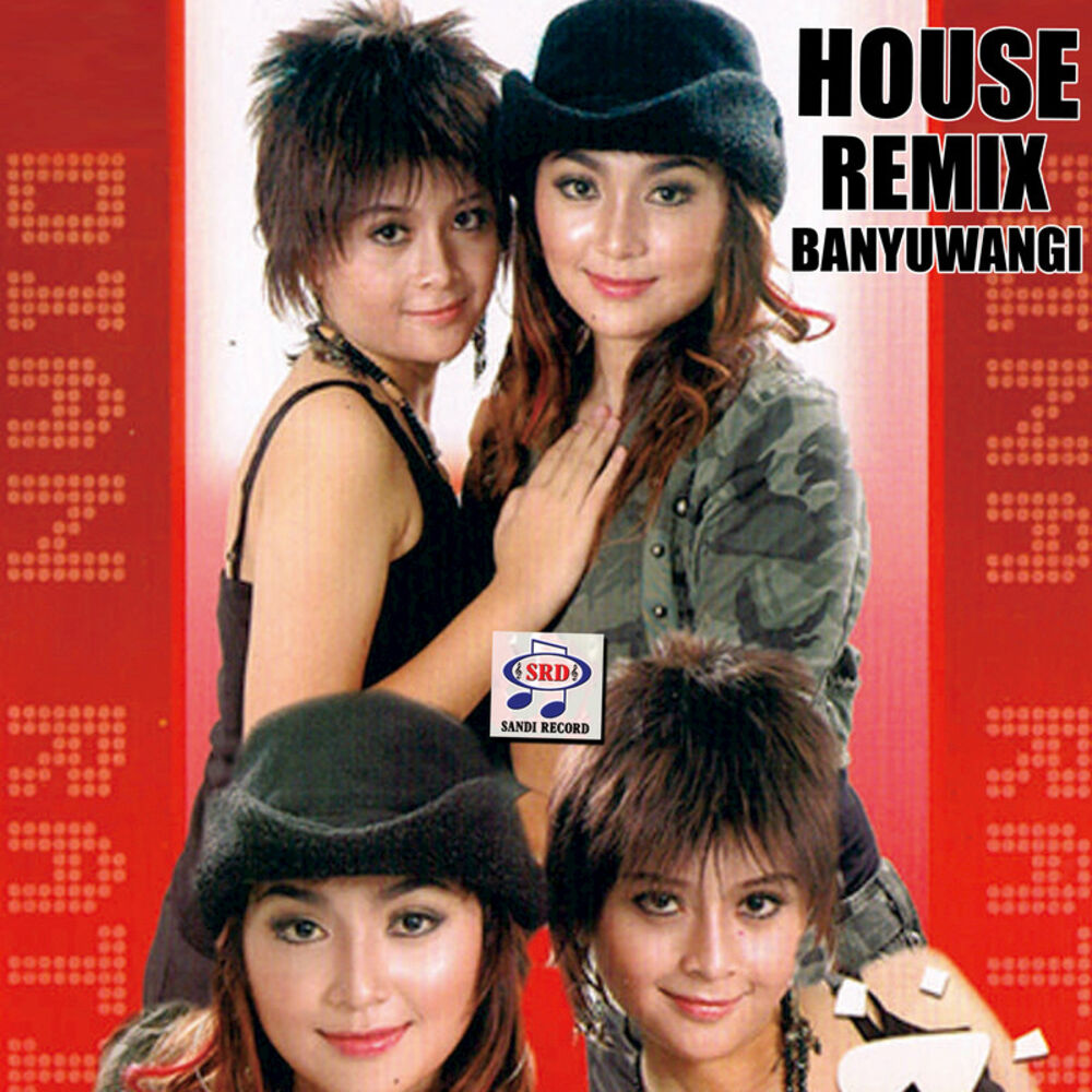 Picture of House Remix Banyuwangi