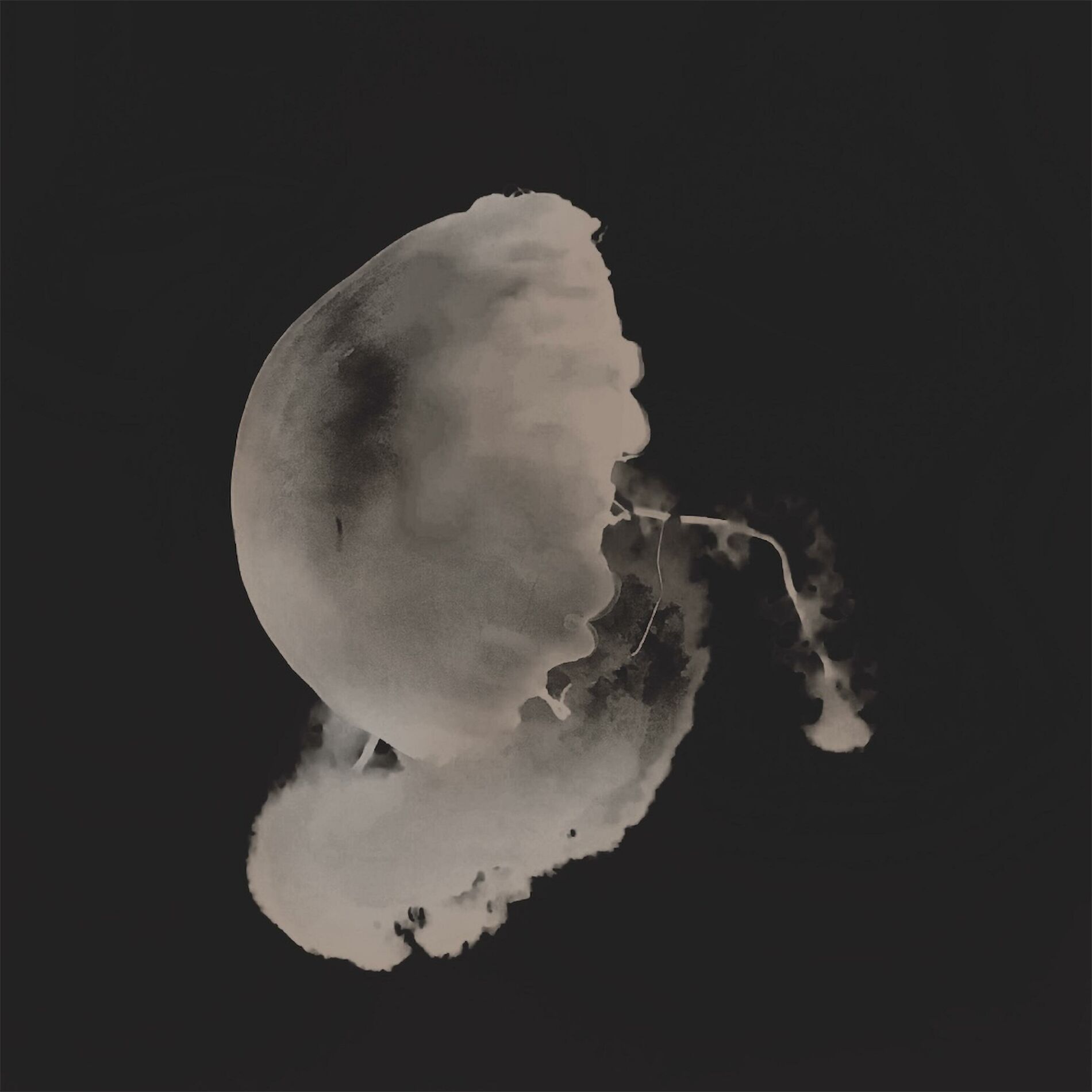 Album cover of Otherworldly Pictures
