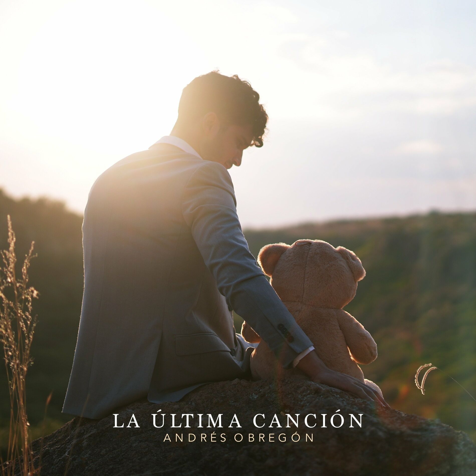 Album cover of The Last Song