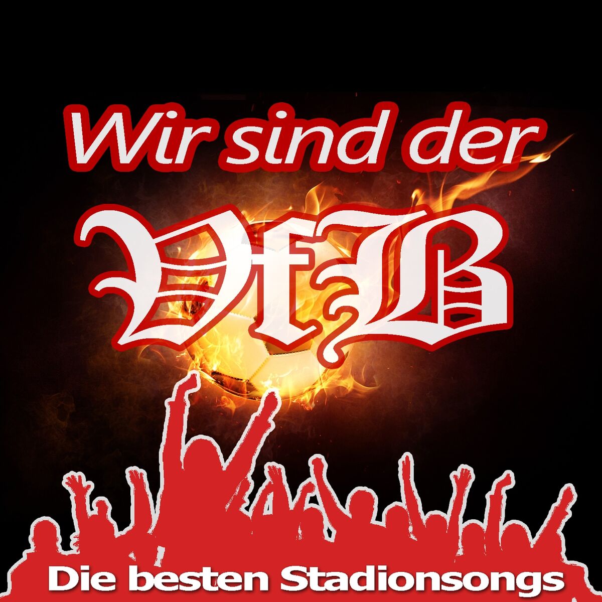 Album cover of Wir sind der VfB (Die besten Stadionsongs)