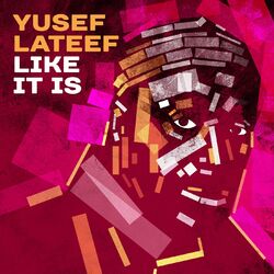 Cover of Like It Is