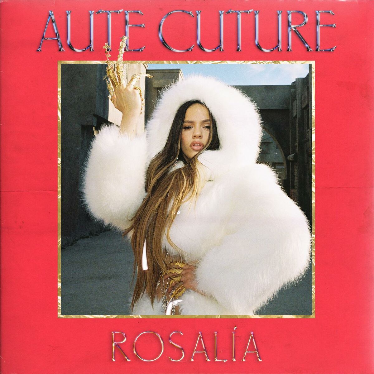 Album cover of Aute Cuture