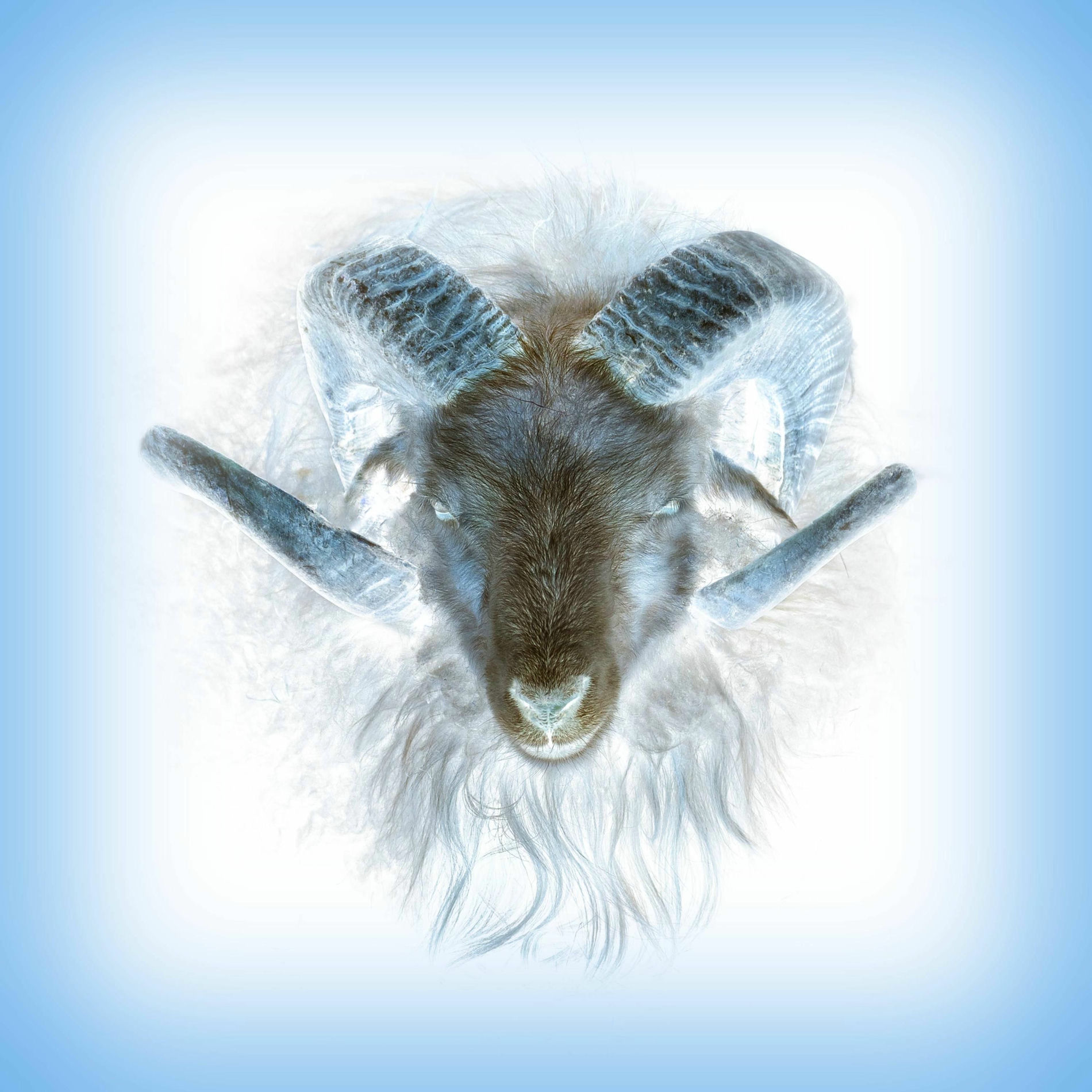 Album cover of In The Loving Arms Of A Heretic