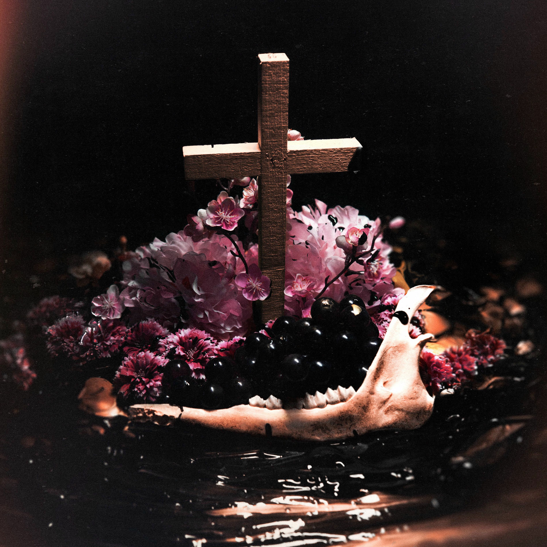 Album cover of If You Do Not Fear Me...