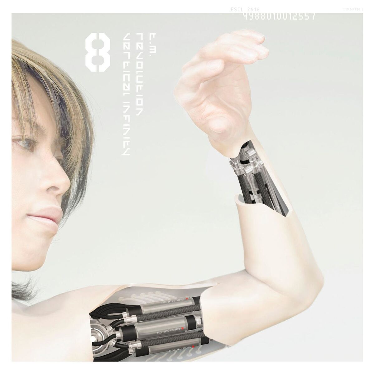 Album cover of vertical infinity