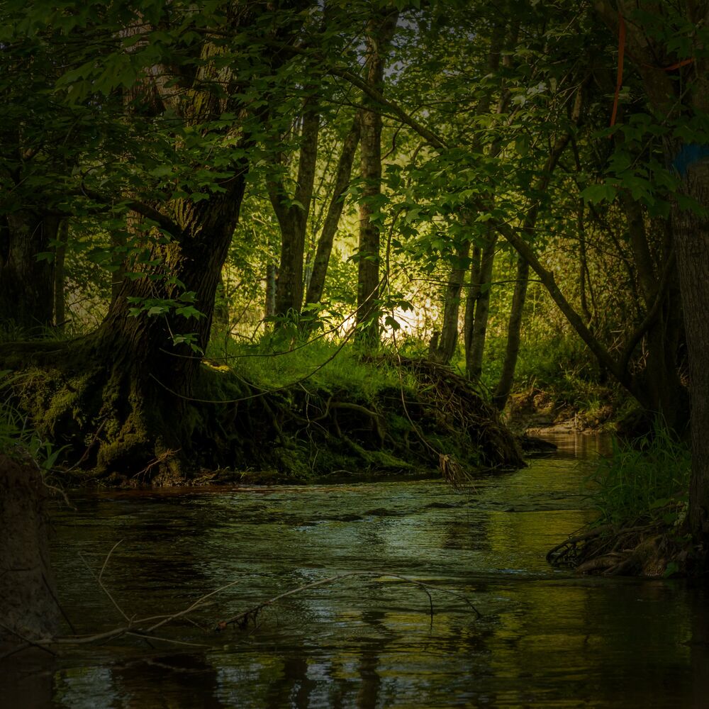 Picture of Sparkling Energy Creek