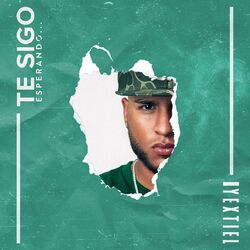 Cover of Te Sigo Esperando...