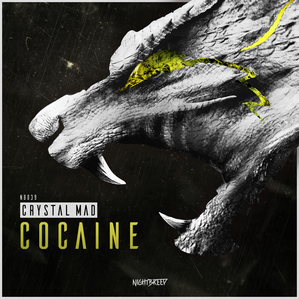 Picture of Cocaine (Radio Edit)