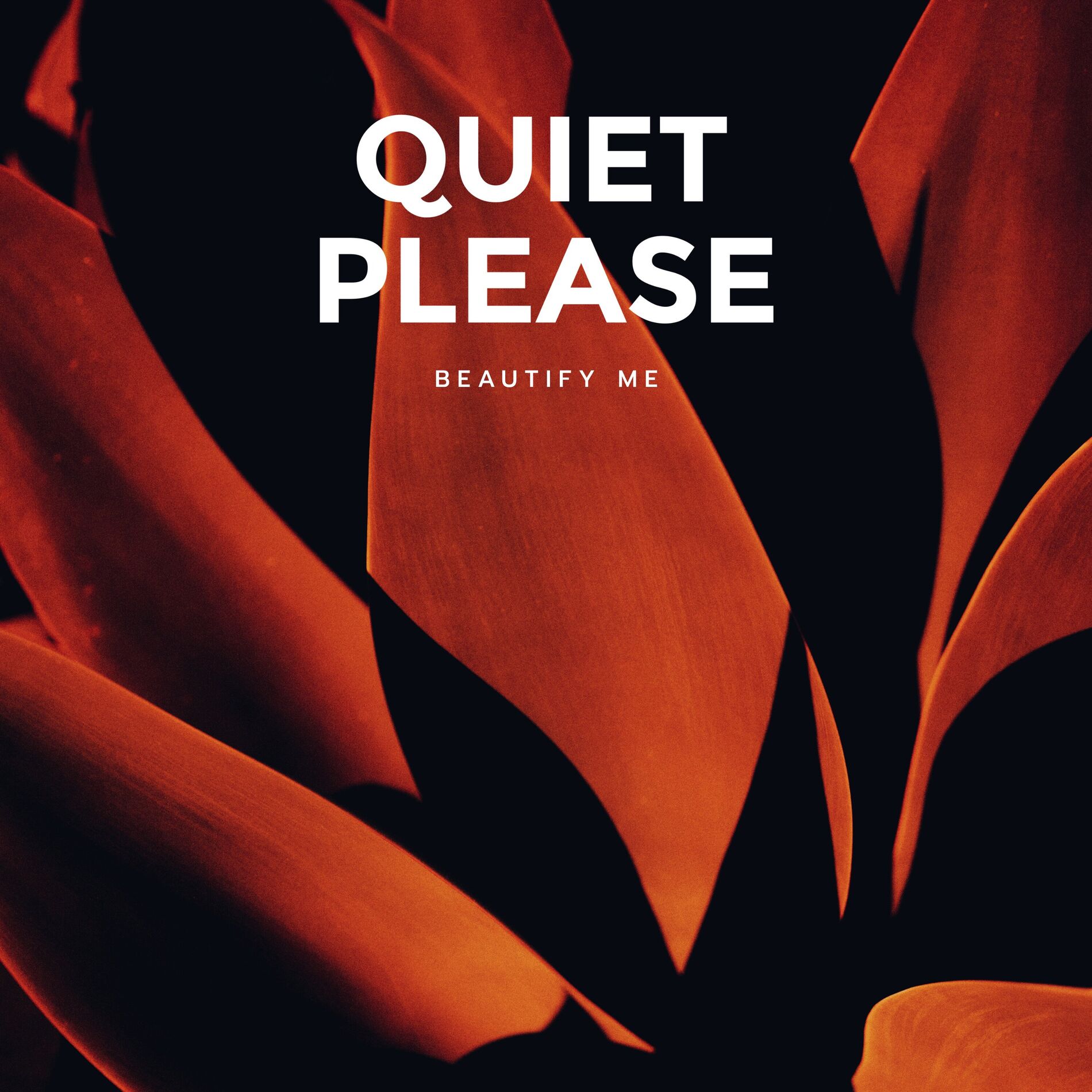 Album cover of Beautify Me