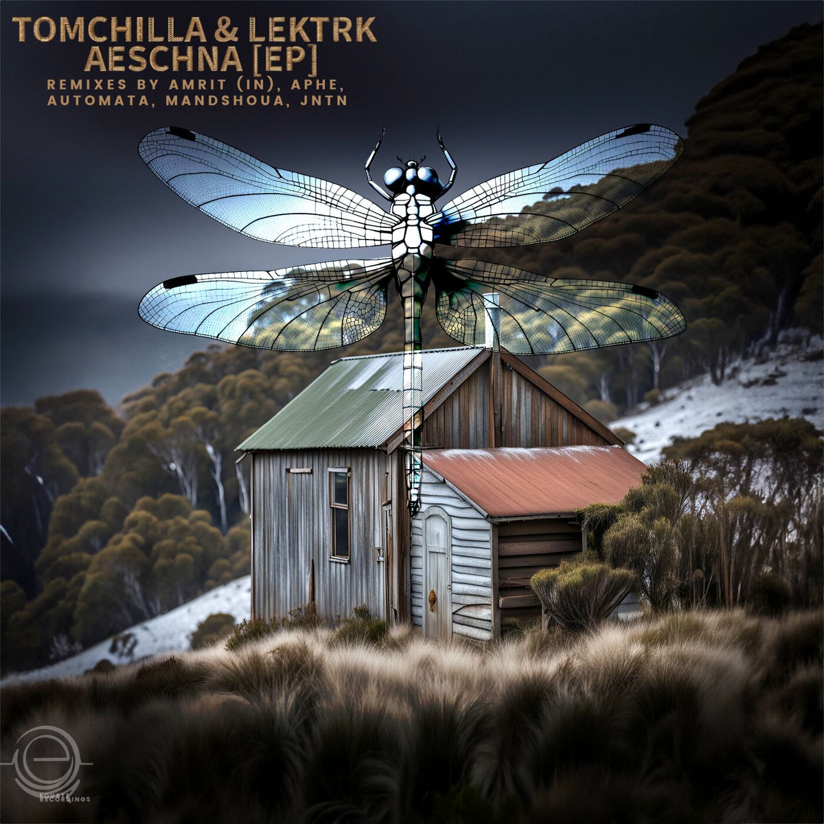 Album cover of Aeschna