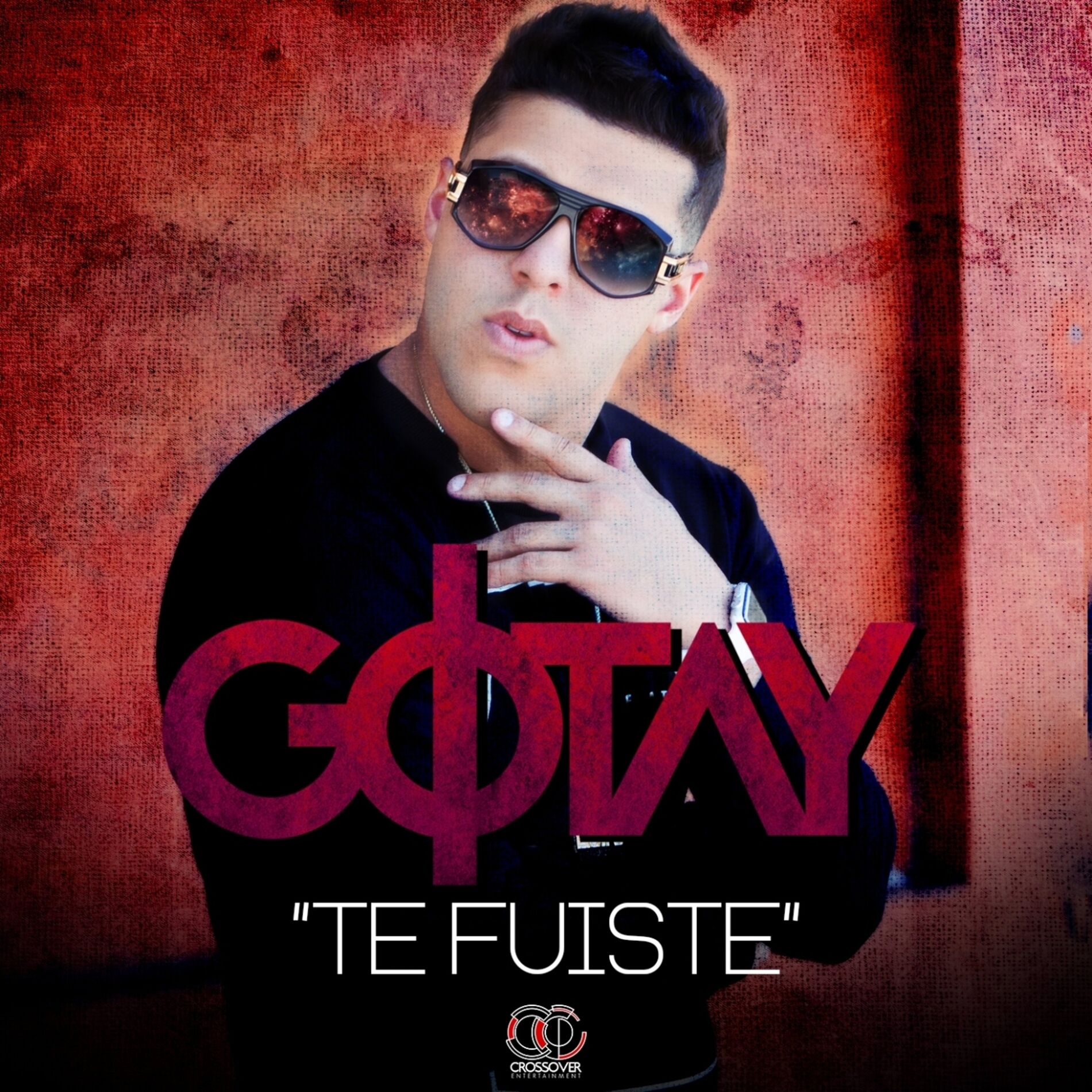 Album cover of Te Fuiste