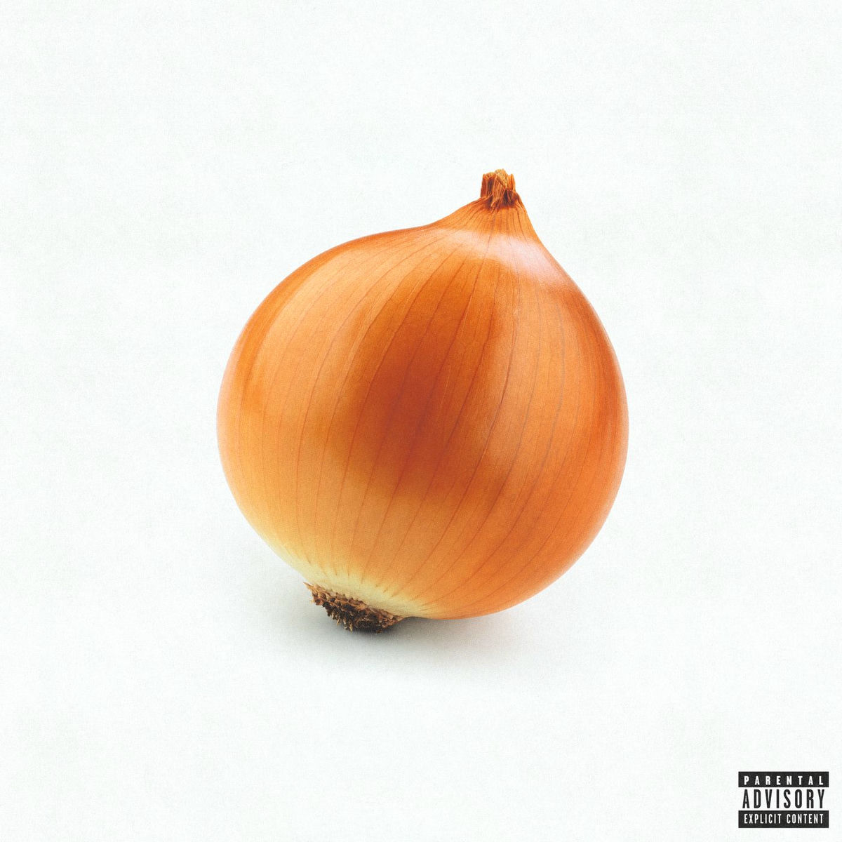 Album cover of onion