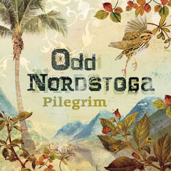 Cover of Pilegrim