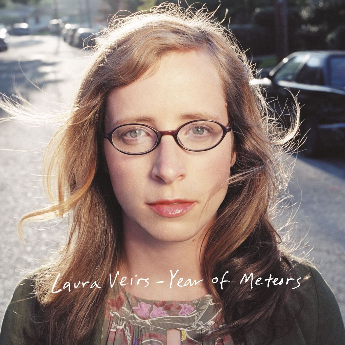 Album cover of Year of Meteors