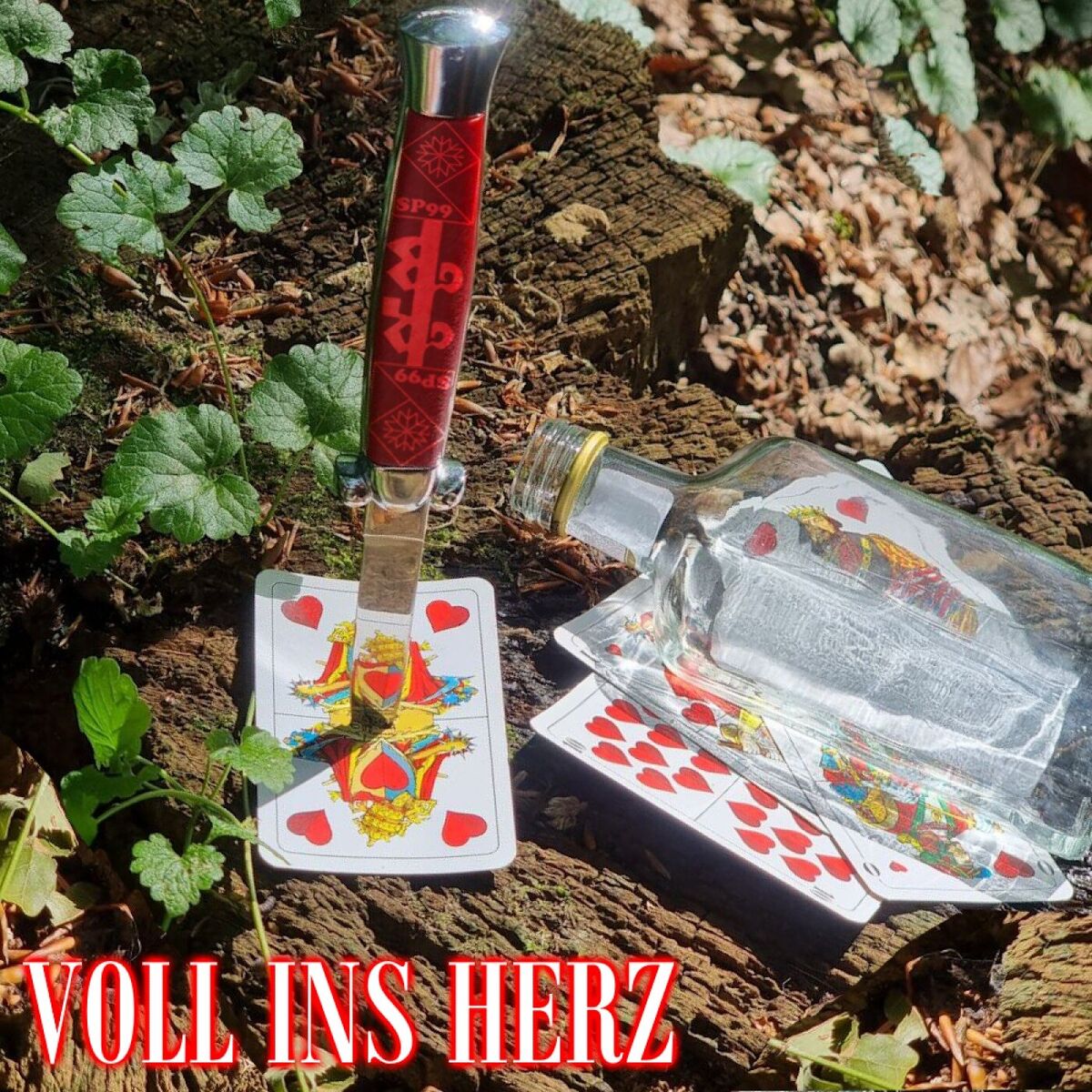 Album cover of VOLL INS HERZ